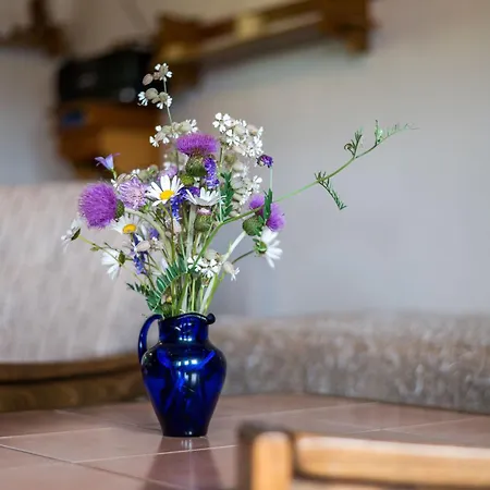 Hoja 1 By Interhome Tatil Evi